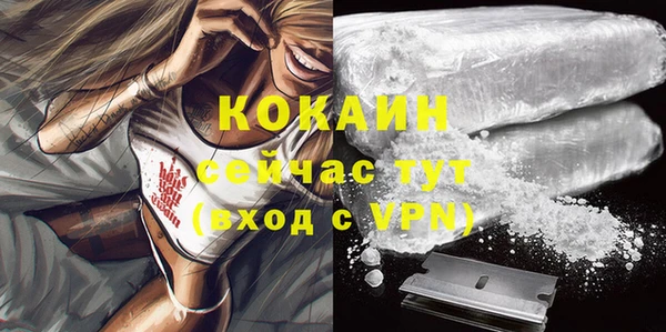 ПСИЛОЦИБИНОВЫЕ ГРИБЫ Нея
