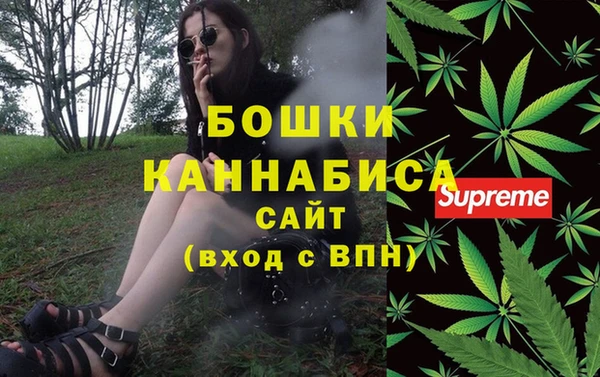 ПСИЛОЦИБИНОВЫЕ ГРИБЫ Нея