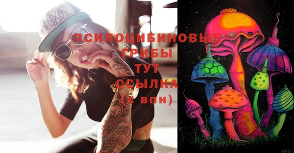 ПСИЛОЦИБИНОВЫЕ ГРИБЫ Нея