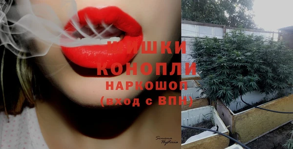 ПСИЛОЦИБИНОВЫЕ ГРИБЫ Нея