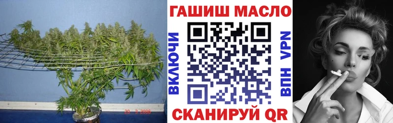 ТГК Wax  это состав  Аткарск 