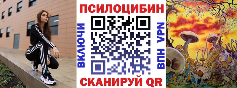 Галлюциногенные грибы Psilocybe  сколько стоит  Аткарск 