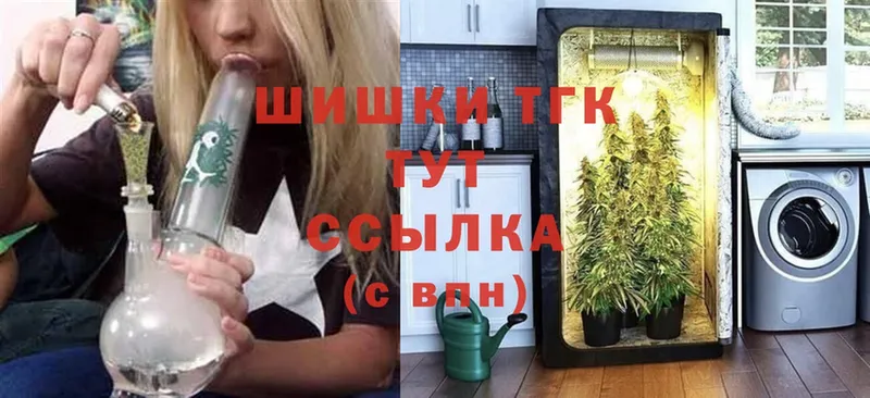 Бошки марихуана THC 21%  где продают наркотики  OMG зеркало  Аткарск 